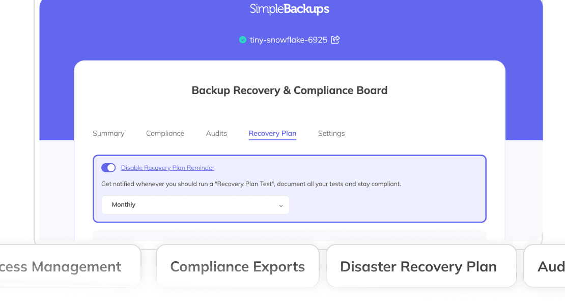 Server Backup