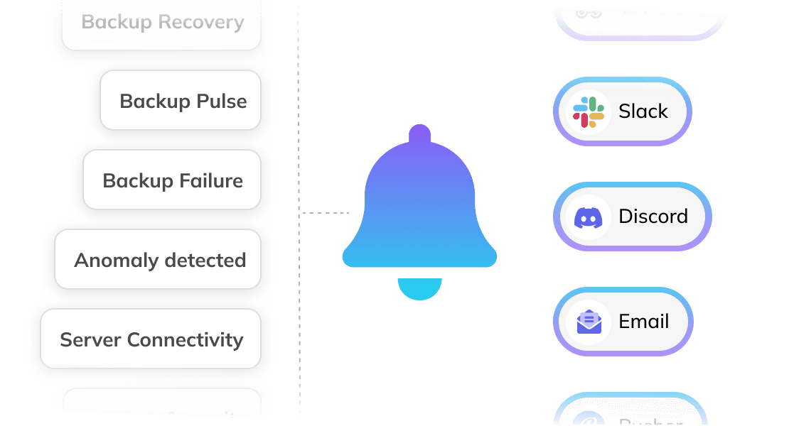 Server Backup