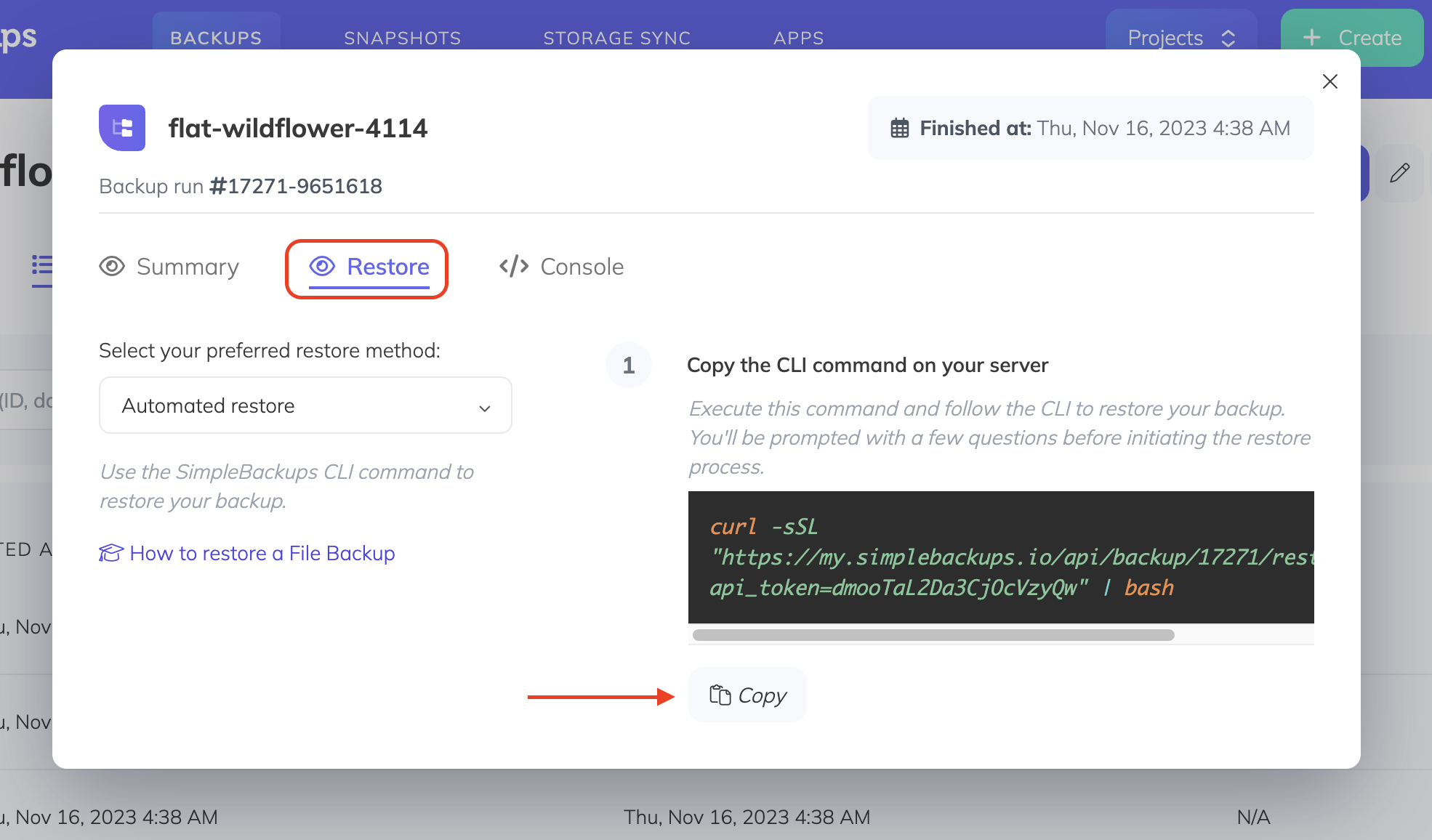 The Restore tab with the automated restore command