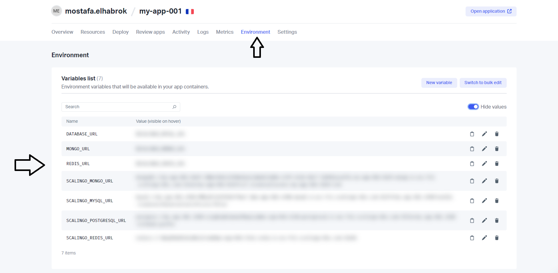 Scalingo Database screenshot 10
