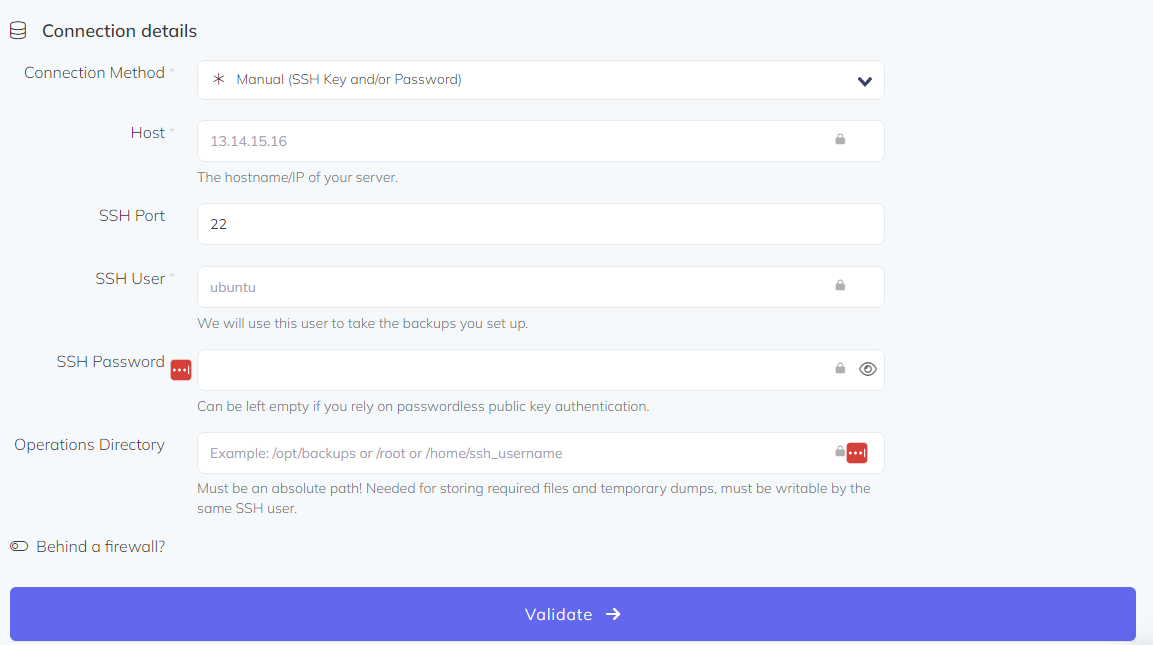 The manual connection form with host, port, user, and password fields