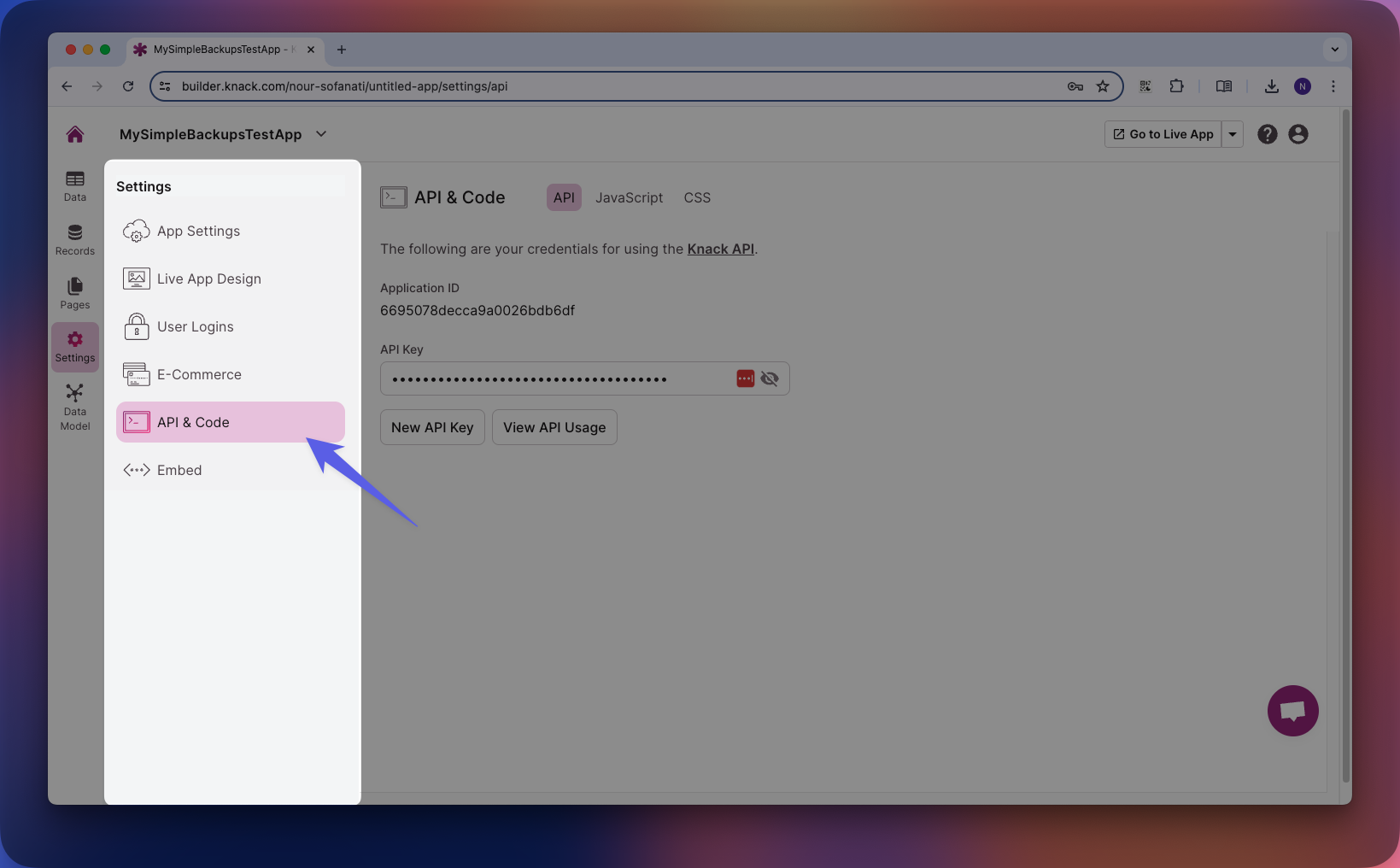 Knack API and Code menu