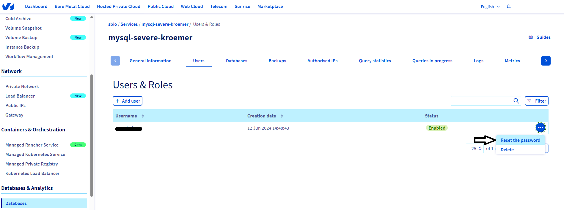 OVH Database screenshot 3