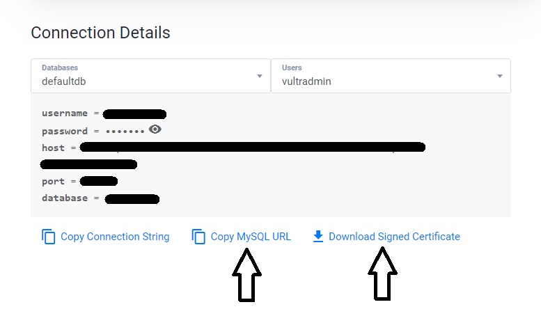 Vultr Database screenshot 3