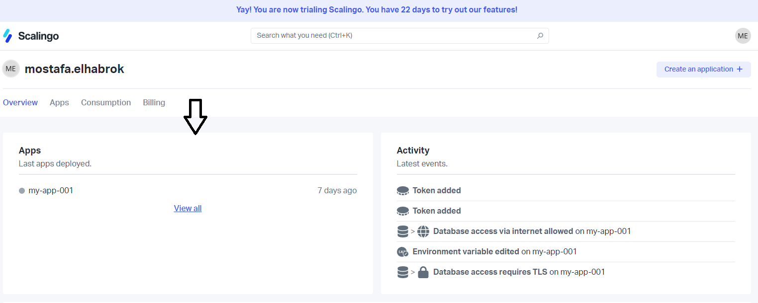 Scalingo Database screenshot 2