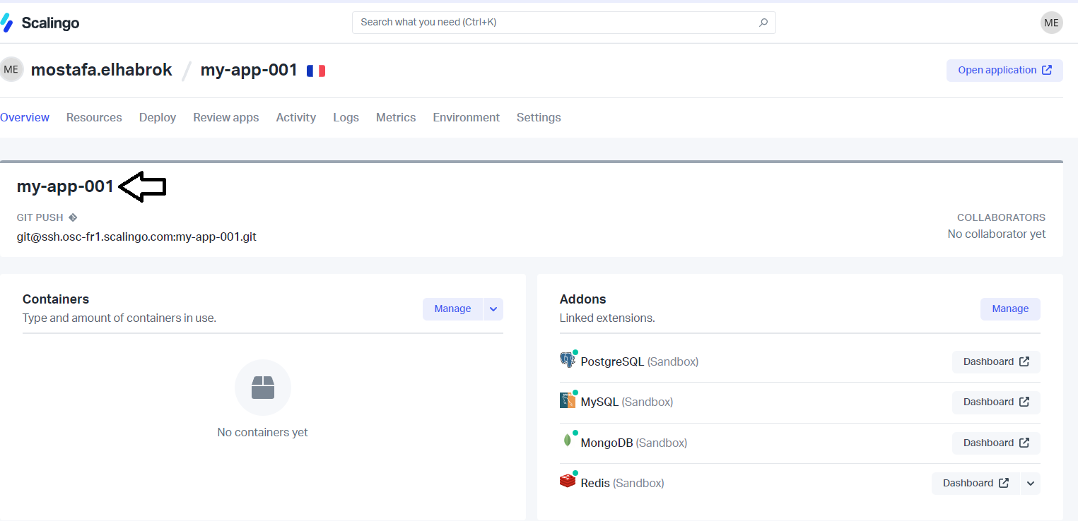 Scalingo Database screenshot 3