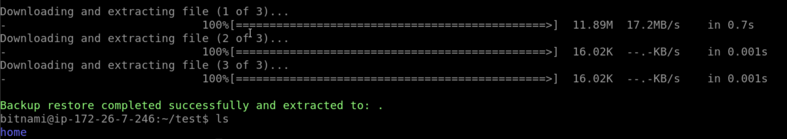 Terminal output showing the restore process completing