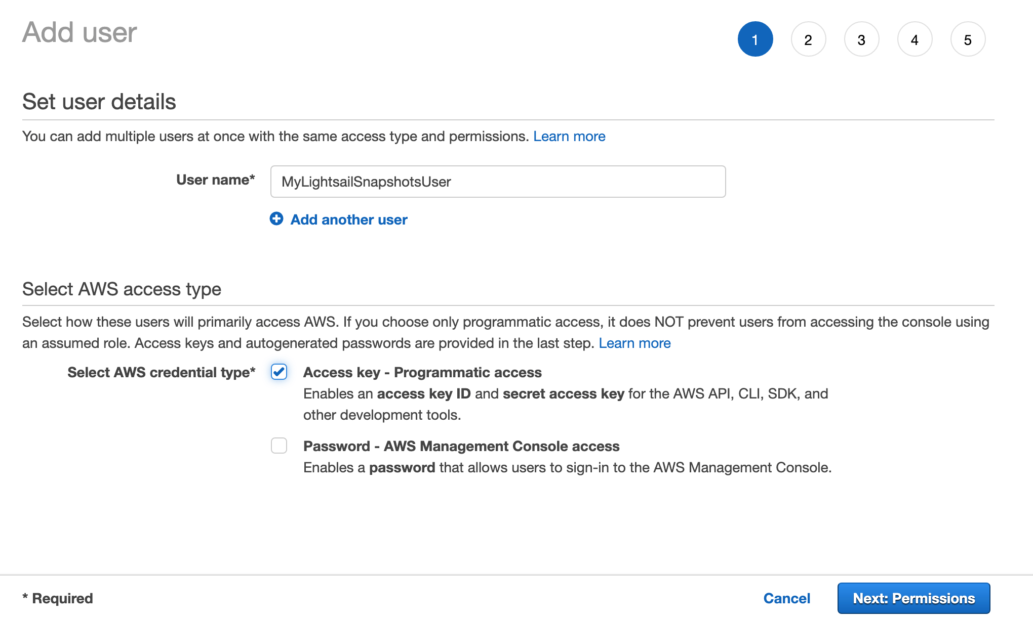 AWS - Set user name and access type