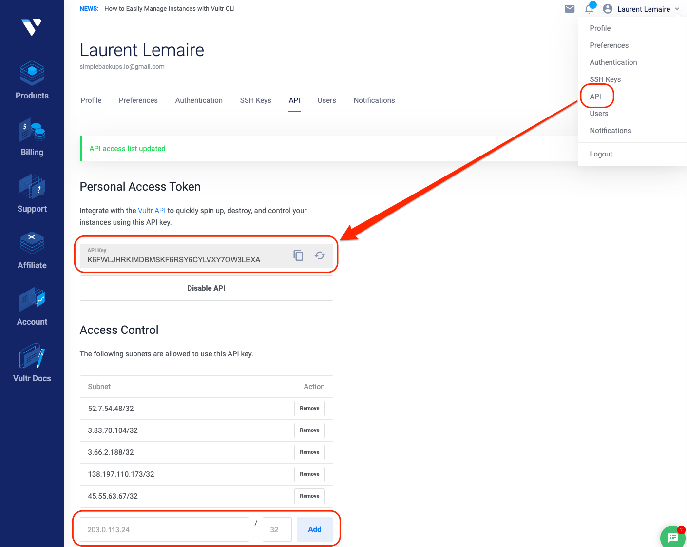 Vultr - API settings page