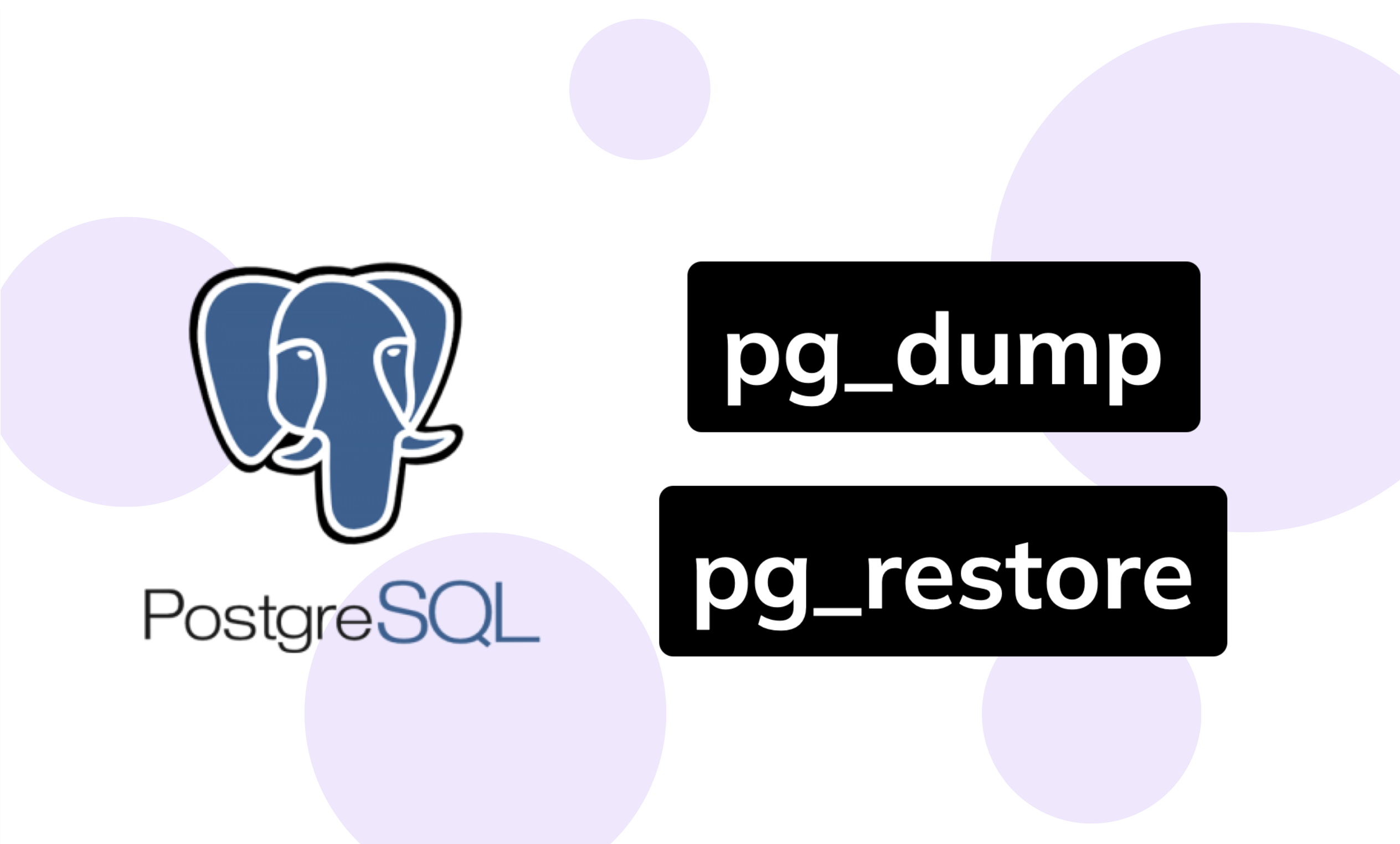 PostgreSQL Pg dump Pg restore Guide