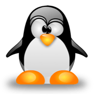 Linux server backup
